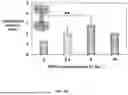 Fig. 15 - BIOACTIVE GRANULAR HYDROGEL SCAFFOLDS AND USE THEREOF