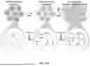 Fig. 17 - BIOACTIVE GRANULAR HYDROGEL SCAFFOLDS AND USE THEREOF