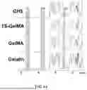 Fig. 20 - BIOACTIVE GRANULAR HYDROGEL SCAFFOLDS AND USE THEREOF