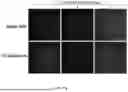 Fig. 24 - BIOACTIVE GRANULAR HYDROGEL SCAFFOLDS AND USE THEREOF
