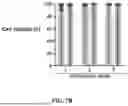 Fig. 25 - BIOACTIVE GRANULAR HYDROGEL SCAFFOLDS AND USE THEREOF