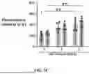Fig. 26 - BIOACTIVE GRANULAR HYDROGEL SCAFFOLDS AND USE THEREOF