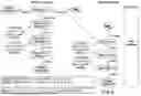 Fig. 05 - RIBOCICLIB PHARMACEUTICAL COMPOSITIONS