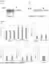 Fig. 02 - DECELLULARIZED TISSUE COMPOSITION