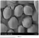 Fig. 02 - SPHERICAL LITHIUM ADSORBENT AS WELL AS PREPARATION METHOD AND USE THEREOF
