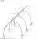 Fig. 46 - WORK DEVICE PROVIDED WITH A CYLINDRICAL ROTATING BODY