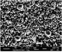 Fig. 01 - NOVEL METHOD FOR MANUFACTURING CONGLOMERATED GRAPHITE, THE CONGLOMERATED GRAPHITE MANUFACTURED USING THE METHOD, AND SECONDARY BATTERY INCLUDING THE CONGLOMERATED GRAPHITE AS AN ANODE ACTIVE MATERIAL