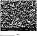 Fig. 02 - NOVEL METHOD FOR MANUFACTURING CONGLOMERATED GRAPHITE, THE CONGLOMERATED GRAPHITE MANUFACTURED USING THE METHOD, AND SECONDARY BATTERY INCLUDING THE CONGLOMERATED GRAPHITE AS AN ANODE ACTIVE MATERIAL