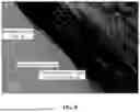 Fig. 09 - NOVEL METHOD FOR MANUFACTURING CONGLOMERATED GRAPHITE, THE CONGLOMERATED GRAPHITE MANUFACTURED USING THE METHOD, AND SECONDARY BATTERY INCLUDING THE CONGLOMERATED GRAPHITE AS AN ANODE ACTIVE MATERIAL
