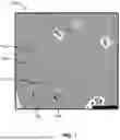 Fig. 02 - CERAMIC ARTICLES AND METHODS FOR FORMING SAME