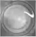 Fig. 01 - ETHYLENE OLIGOMERIZATION METHOD, AND ETHYLENE OLIGOMER THEREOF