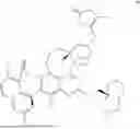 Fig. 366 - KRAS G12D MODULATING COMPOUNDS