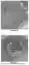 Fig. 04 - HEME, COMPOSITIONS AND METHOD OF SYNTHESIS THEREOF