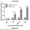 Fig. 05 - HEME, COMPOSITIONS AND METHOD OF SYNTHESIS THEREOF
