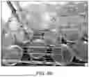 Fig. 09 - SYSTEMS AND METHODS FOR MODIFYING GRAPE BERRY AND PLANTLET COLOR