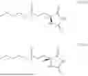 Fig. 46 - ENZYMATIC METHOD FOR THE PRODUCTION OF L-GLUFOSINATE P-ESTERS