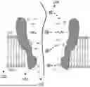 Fig. 01 - MACROMOLECULE BLOCKS FOR NANOPORE SEQUENCING