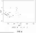 Fig. 06 - CIRCULATING TUMOR AND TUMOR STEM CELL DETECTION USING GENOMIC SPECIFIC PROBES