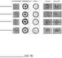 Fig. 08 - FABRICATION METHODS FOR 3D STRUCTURES BASED ON ROLLING-UP KIRIGAMI TECHNIQUES