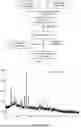 Fig. 02 - Method and device for preparing trivalent chromium salt by electrochemical oxidation of ferrochrome in acidic system