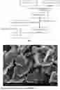 Fig. 02 - Method for directly preparing trivalent chromium compound by electrochemical oxidation of ferrochrome