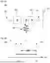 Fig. 07 - PARAMETRIC FLUORESCENT READOUT FOR SUPERCONDUCTING QUBITS
