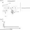 Fig. 09 - PARAMETRIC FLUORESCENT READOUT FOR SUPERCONDUCTING QUBITS