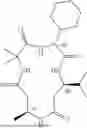 Fig. 197 - DE NOVO DESIGNED MACROCYCLIC OLIGOAMIDES