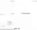 Fig. 16 - TEMPLATE MATCHING-BASED MOTION REFINEMENT IN VIDEO CODING