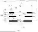 Fig. 06 - FINGERPRINT RECOGNITION MODULE AND DISPLAY APPARATUS