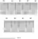 Fig. 07 - EMULSION SPECTRAL FLUID FILTER CAPABLE OF CONTROLLING LIGHT WAVELENGTH ABSORPTION, AND MANUFACTURING METHOD THEREFOR