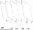 Fig. 01 - TETRACHROMATIC PEROVSKITE IMAGE SENSOR AND METHOD FOR MANUFACTURING THE SAME
