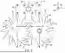 Fig. 06 - GANG ASSEMBLY FOR A TILLAGE IMPLEMENT