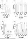 Fig. 85 - CONCURRENT TARGETING OF ONCOGENIC PATHWAYS TO ENHANCE CHEMOTHERAPY AND IMMUNOTHERAPY