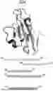 Fig. 01 - ANTIBODIES AGAINST TIM3 AND USES THEREOF