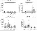 Fig. 49 - EXTRACELLULAR VESICLE-ASO CONSTRUCTS TARGETING STAT6