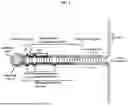 Fig. 02 - MODULATORY POLYNUCLEOTIDES