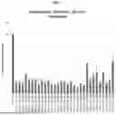 Fig. 04 - MODULATORY POLYNUCLEOTIDES