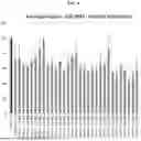 Fig. 05 - MODULATORY POLYNUCLEOTIDES