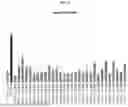 Fig. 06 - MODULATORY POLYNUCLEOTIDES