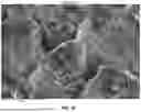 Fig. 16 - LASER-TEXTURED SURFACE AND MEHODS OF FORMING SAME