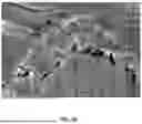 Fig. 20 - LASER-TEXTURED SURFACE AND MEHODS OF FORMING SAME