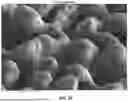 Fig. 30 - LASER-TEXTURED SURFACE AND MEHODS OF FORMING SAME