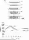 Fig. 04 - APPAREL WITH HEAT RETENTION LAYER AND METHOD OF MAKING THE SAME