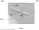 Fig. 06 - FLUIDIC CARTRIDGE ASSEMBLY