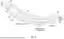 Fig. 08 - GESTURE SENSOR USING RADIO-FREQUENCY SIGNALS