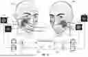 Fig. 13 - USING FACIAL SKIN MICROMOVEMENTS TO PAIR WITH A COMPUTING DEVICE