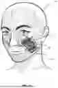 Fig. 14 - USING FACIAL SKIN MICROMOVEMENTS TO PAIR WITH A COMPUTING DEVICE