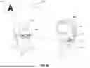 Fig. 84 - USING FACIAL SKIN MICROMOVEMENTS TO PAIR WITH A COMPUTING DEVICE