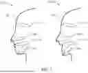 Fig. 02 - MACHINE LEARNING FOR ANIMATRONIC DEVELOPMENT AND OPTIMIZATION